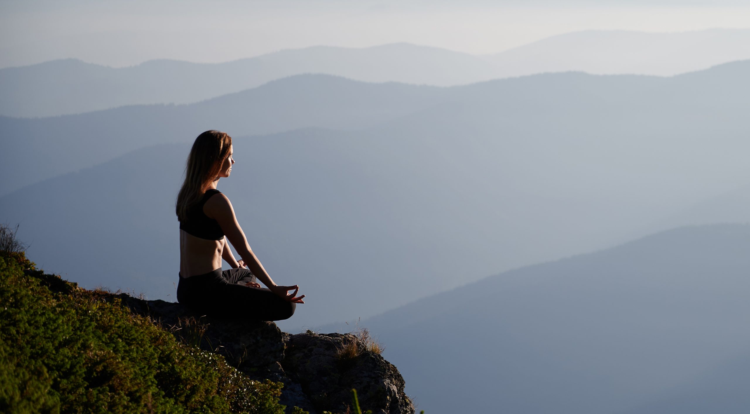 Meditation / Breathwork / Mindfulness